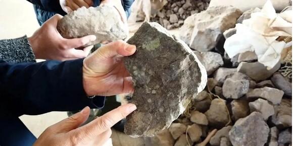 QQ截图20251219103738.jpg QQ截图20251219103738.jpg